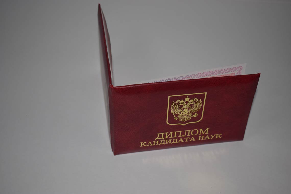Диплом Кандидата Наук 2013-2016 в Пензе корка